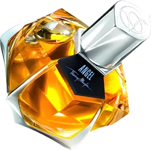 Angel Les Parfums De Cuir by mugler