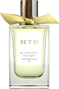 Hawthorn Bloom by burberry