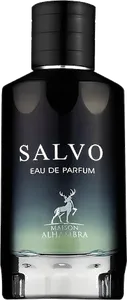Salvo by maison-alhambra
