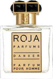 Danger Pour Homme by roja-dove