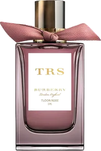 Tudor Rose by burberry