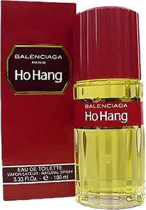 Ho Hang by balenciaga