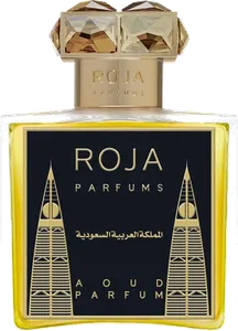 Kingdom Of Saudi Arabia by roja-dove
