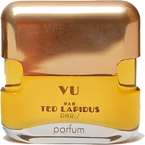 Vu Par Ted Lapidus by ted-lapidus