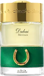 Meydan by the-spirit-of-dubai