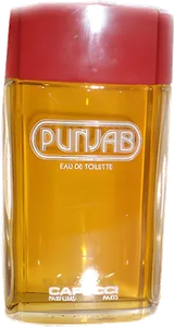 Punjab by roberto-capucci
