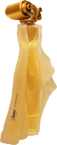 Organza Indecence Eau De Toilette Du Desert by givenchy